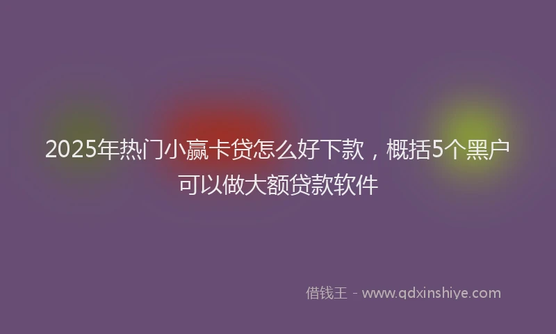 2025年热门小赢卡贷怎么好下款，概括5个黑户可以做大额贷款软件