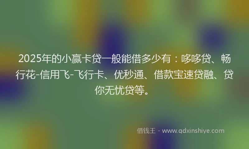 2025年的小赢卡贷一般能借多少有：哆哆贷、畅行花-信用飞-飞行卡、优秒通、借款宝速贷融、贷你无忧贷等。
