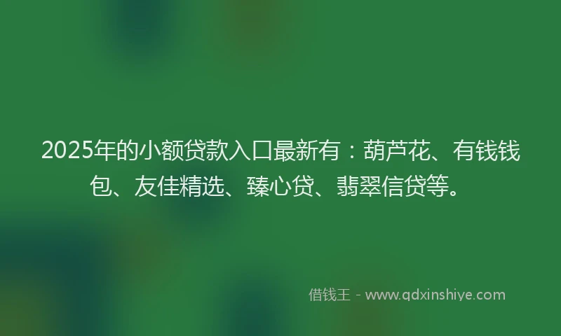 2025年的小额贷款入口最新有：葫芦花、有钱钱包、友佳精选、臻心贷、翡翠信贷等。