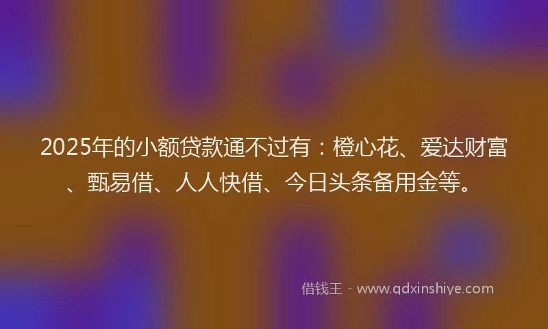 2025年的小额贷款通不过有：橙心花、爱达财富、甄易借、人人快借、今日头条备用金等。