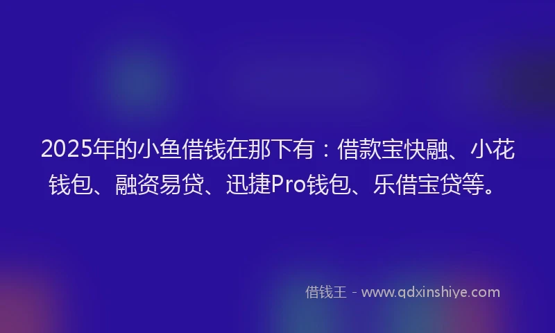 2025年的小鱼借钱在那下有：借款宝快融、小花钱包、融资易贷、迅捷Pro钱包、乐借宝贷等。