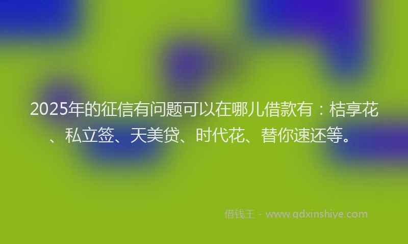 2025年的征信有问题可以在哪儿借款有：桔享花、私立签、天美贷、时代花、替你速还等。