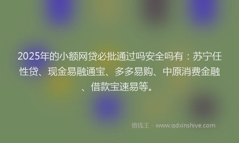 2025年的小额网贷必批通过吗安全吗有：苏宁任性贷、现金易融通宝、多多易购、中原消费金融、借款宝速易等。