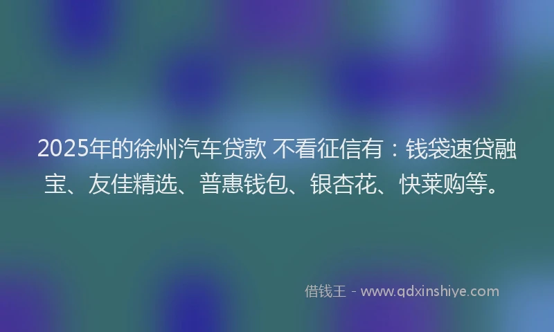 2025年的徐州汽车贷款 不看征信有：钱袋速贷融宝、友佳精选、普惠钱包、银杏花、快莱购等。
