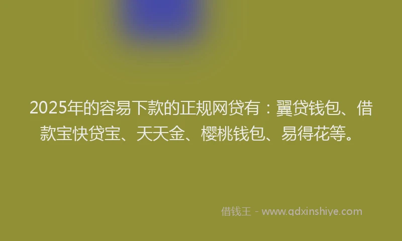 2025年的容易下款的正规网贷有：翼贷钱包、借款宝快贷宝、天天金、樱桃钱包、易得花等。