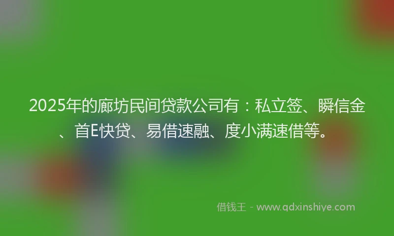 2025年的廊坊民间贷款公司有：私立签、瞬信金、首E快贷、易借速融、度小满速借等。