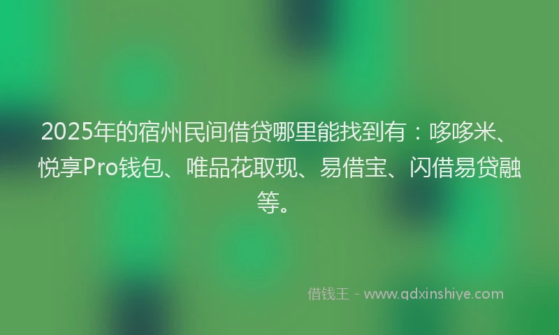 2025年的宿州民间借贷哪里能找到有：哆哆米、悦享Pro钱包、唯品花取现、易借宝、闪借易贷融等。