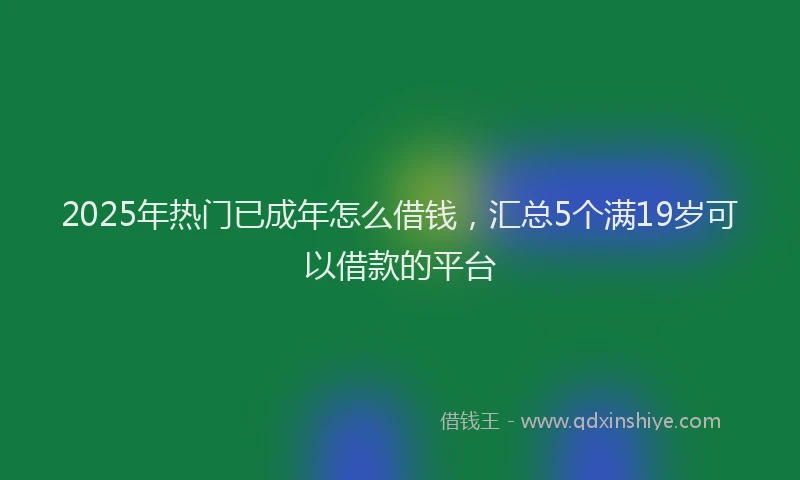 2025年热门已成年怎么借钱，汇总5个满19岁可以借款的平台