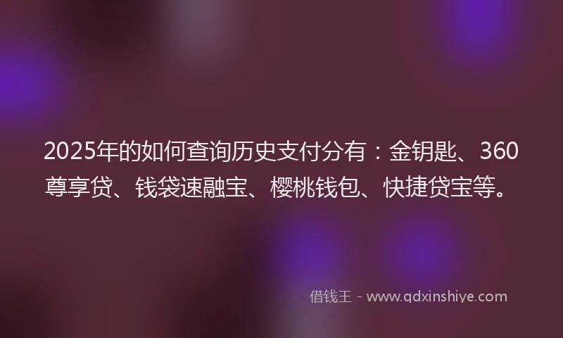 2025年的如何查询历史支付分有：金钥匙、360尊享贷、钱袋速融宝、樱桃钱包、快捷贷宝等。
