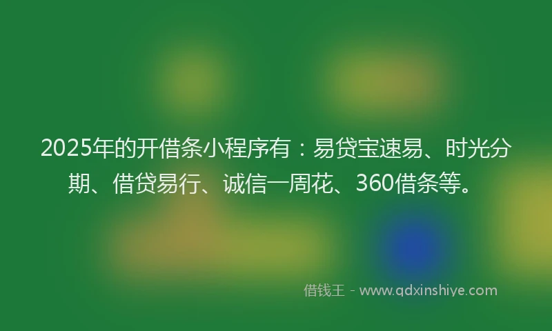 2025年的开借条小程序有：易贷宝速易、时光分期、借贷易行、诚信一周花、360借条等。