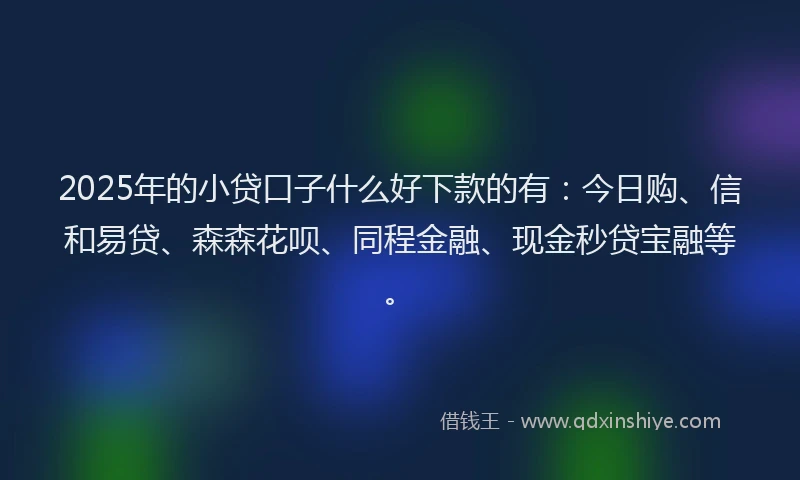 2025年的小贷口子什么好下款的有：今日购、信和易贷、森森花呗、同程金融、现金秒贷宝融等。