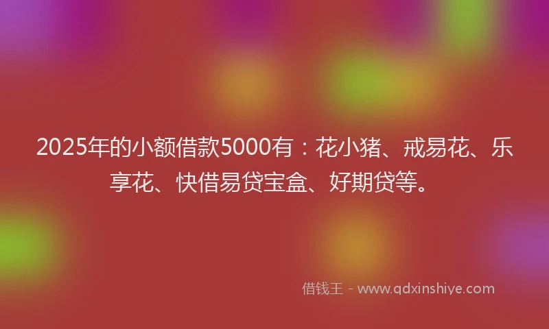 2025年的小额借款5000有：花小猪、戒易花、乐享花、快借易贷宝盒、好期贷等。