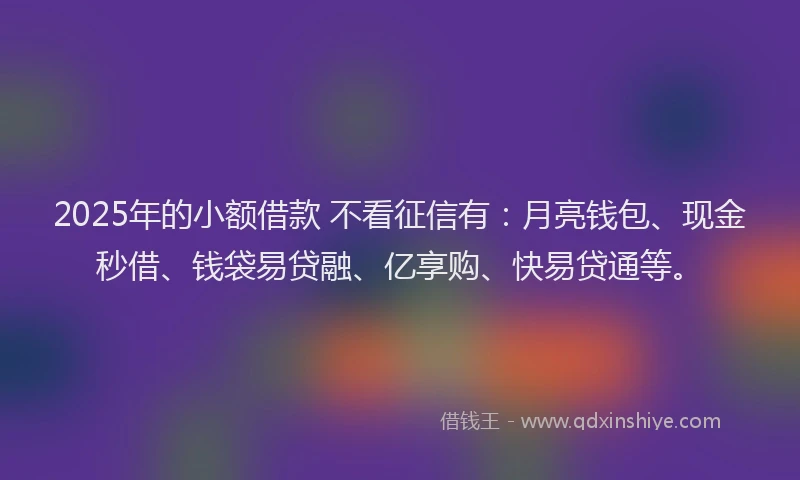 2025年的小额借款 不看征信有：月亮钱包、现金秒借、钱袋易贷融、亿享购、快易贷通等。