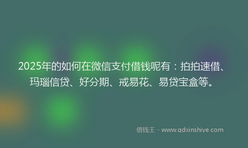 2025年的如何在微信支付借钱呢有：拍拍速借、玛瑙信贷、好分期、戒易花、易贷宝盒等。