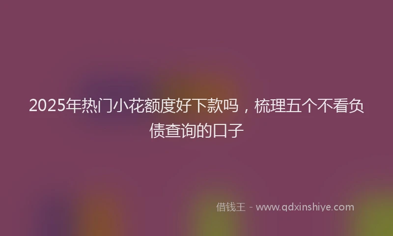 2025年热门小花额度好下款吗，梳理五个不看负债查询的口子