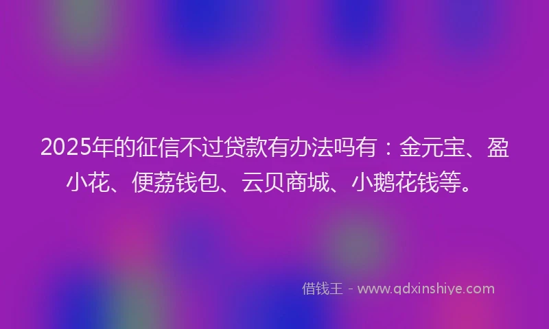 2025年的征信不过贷款有办法吗有：金元宝、盈小花、便荔钱包、云贝商城、小鹅花钱等。