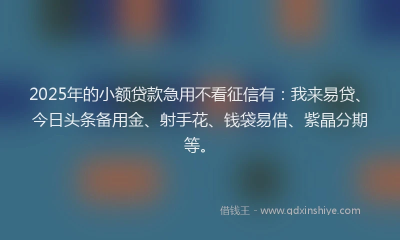 2025年的小额贷款急用不看征信有：我来易贷、今日头条备用金、射手花、钱袋易借、紫晶分期等。