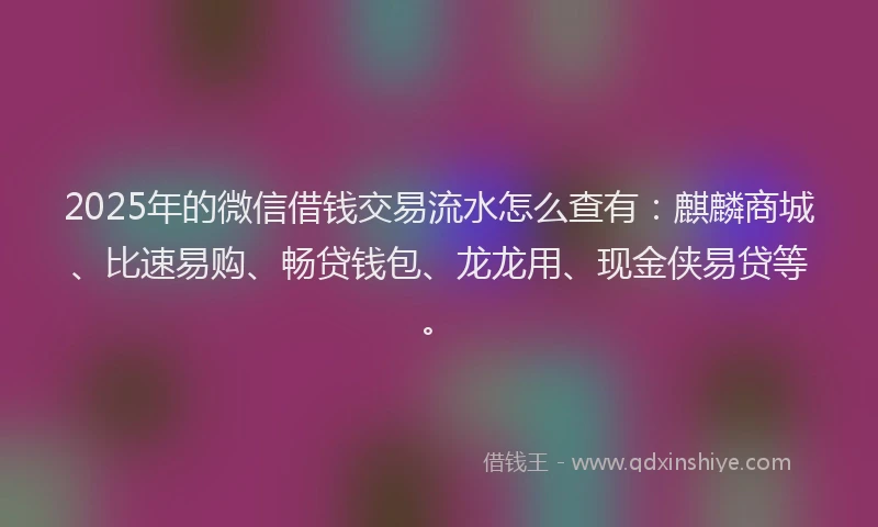 2025年的微信借钱交易流水怎么查有：麒麟商城、比速易购、畅贷钱包、龙龙用、现金侠易贷等。