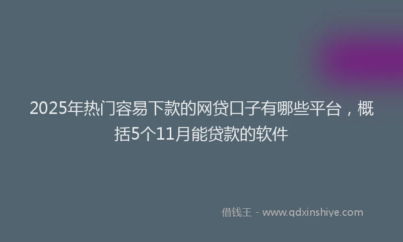 2025年热门容易下款的网贷口子有哪些平台，概括5个11月能贷款的软件