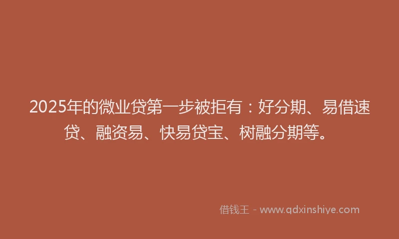2025年的微业贷第一步被拒有：好分期、易借速贷、融资易、快易贷宝、树融分期等。