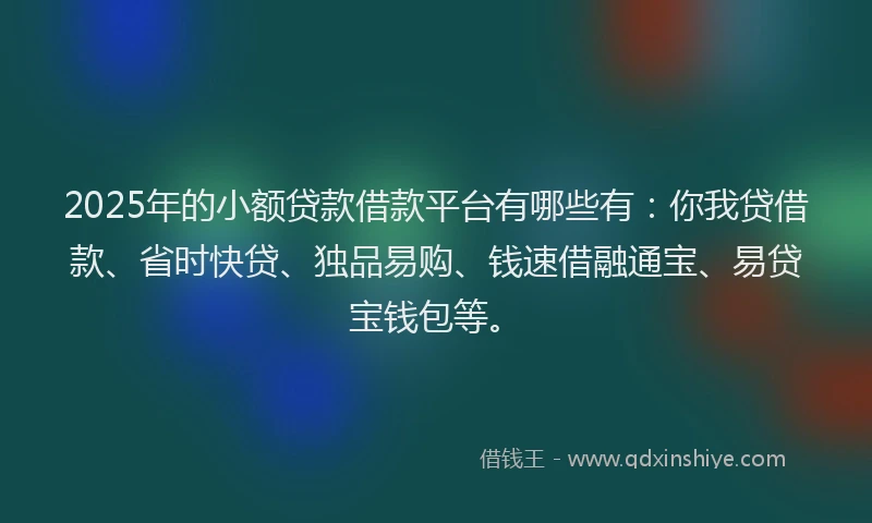 2025年的小额贷款借款平台有哪些有：你我贷借款、省时快贷、独品易购、钱速借融通宝、易贷宝钱包等。
