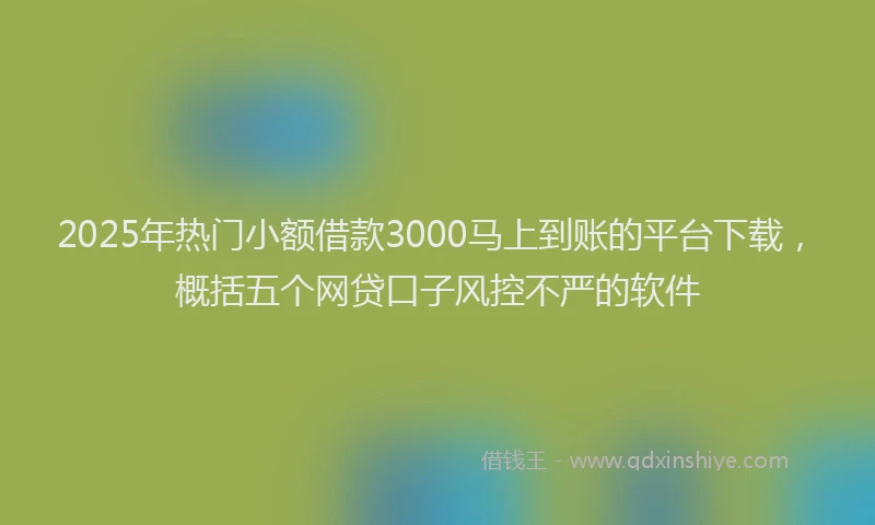 2025年热门小额借款3000马上到账的平台下载，概括五个网贷口子风控不严的软件