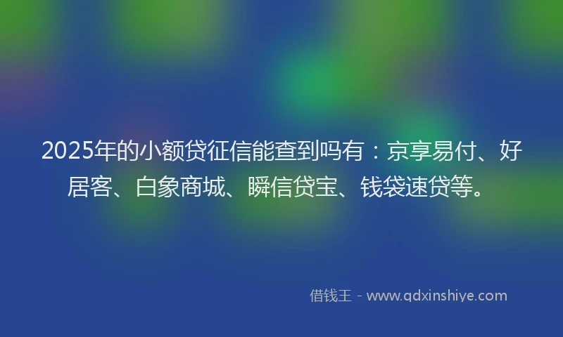 2025年的小额贷征信能查到吗有：京享易付、好居客、白象商城、瞬信贷宝、钱袋速贷等。