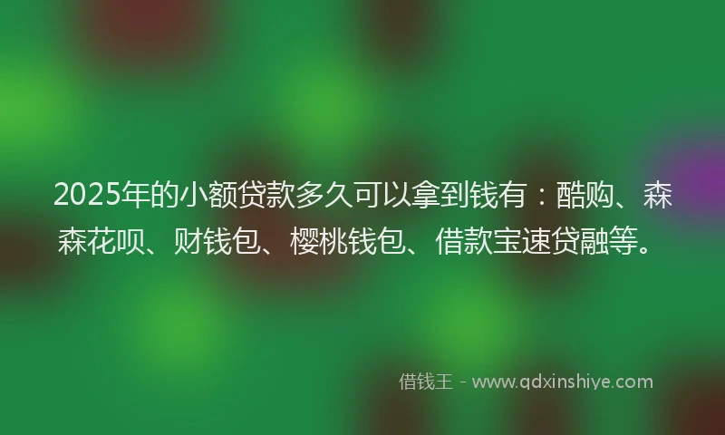2025年的小额贷款多久可以拿到钱有：酷购、森森花呗、财钱包、樱桃钱包、借款宝速贷融等。