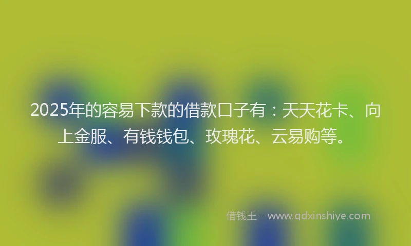 2025年的容易下款的借款口子有：天天花卡、向上金服、有钱钱包、玫瑰花、云易购等。