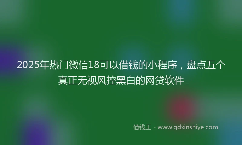 2025年热门微信18可以借钱的小程序，盘点五个真正无视风控黑白的网贷软件