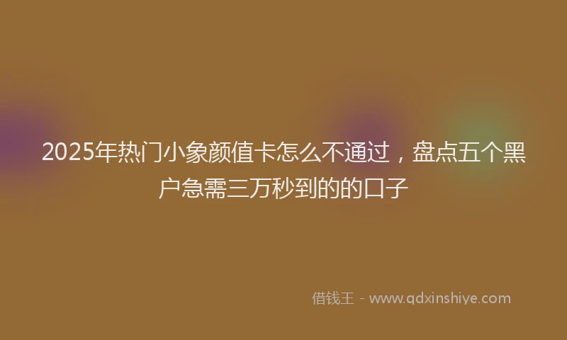 2025年热门小象颜值卡怎么不通过，盘点五个黑户急需三万秒到的的口子