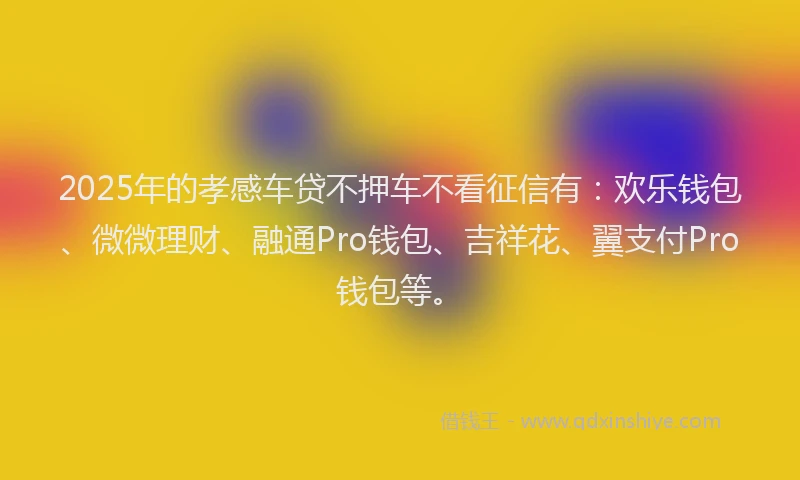 2025年的孝感车贷不押车不看征信有：欢乐钱包、微微理财、融通Pro钱包、吉祥花、翼支付Pro钱包等。