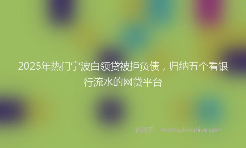 2025年热门宁波白领贷被拒负债，归纳五个看银行流水的网贷平台
