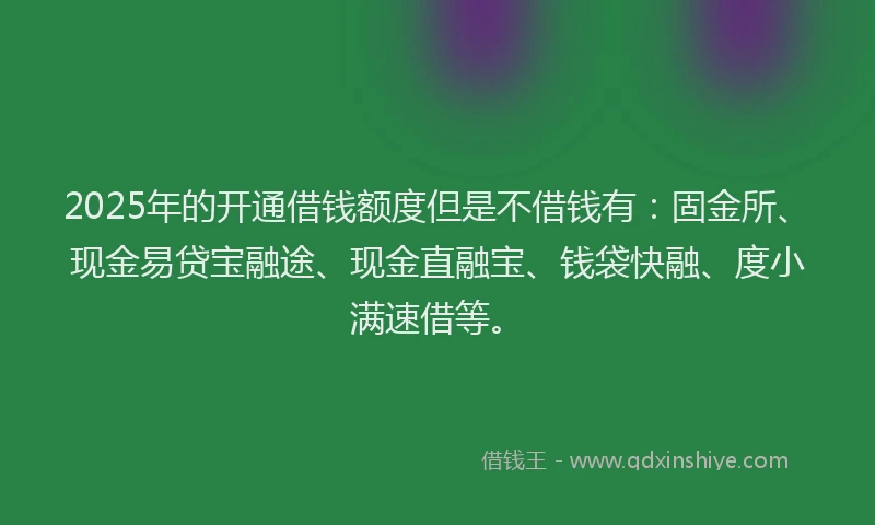 2025年的开通借钱额度但是不借钱有：固金所、现金易贷宝融途、现金直融宝、钱袋快融、度小满速借等。