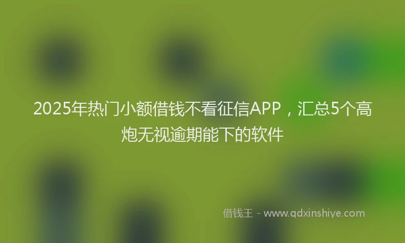 2025年热门小额借钱不看征信APP，汇总5个高炮无视逾期能下的软件