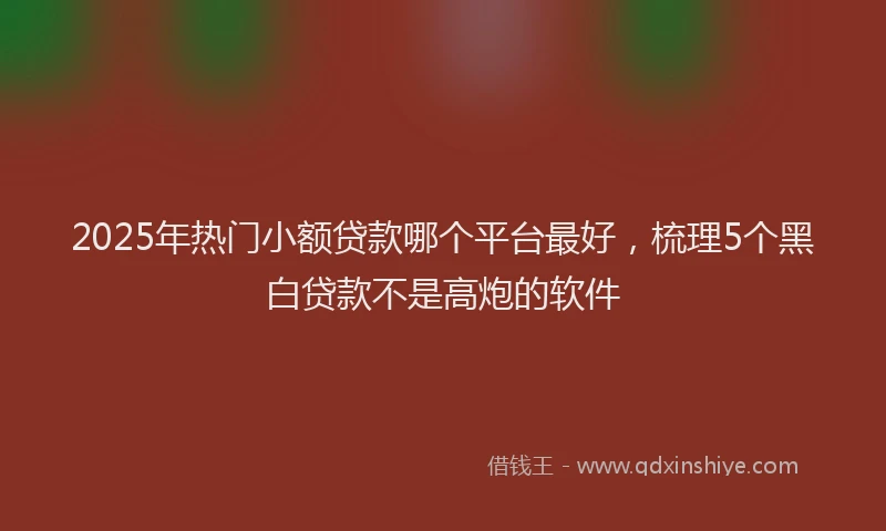 2025年热门小额贷款哪个平台最好，梳理5个黑白贷款不是高炮的软件