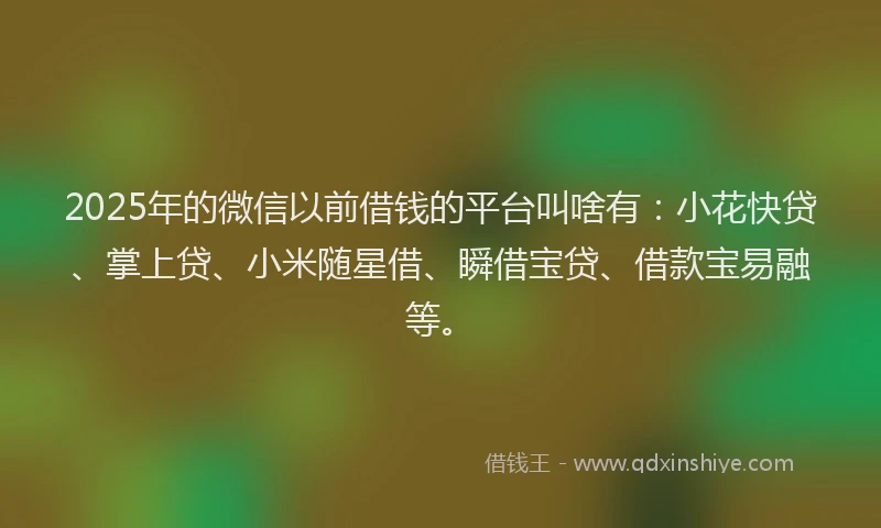 2025年的微信以前借钱的平台叫啥有：小花快贷、掌上贷、小米随星借、瞬借宝贷、借款宝易融等。
