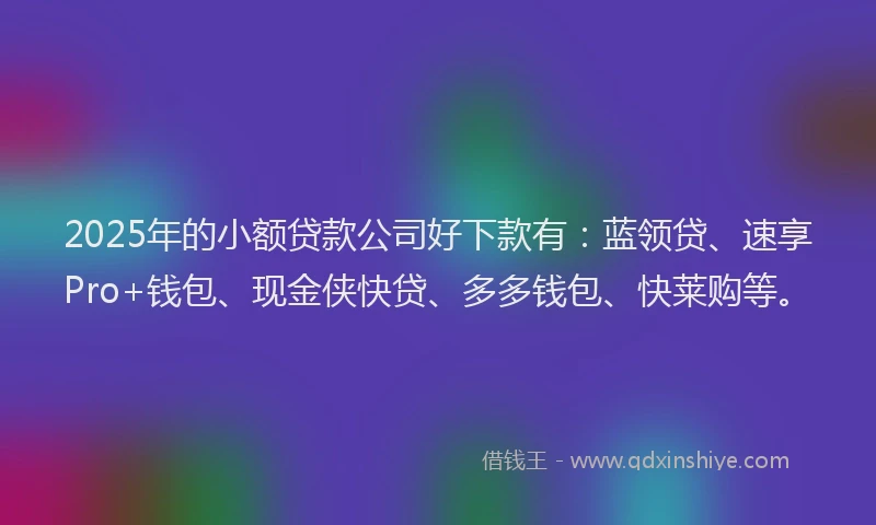 2025年的小额贷款公司好下款有：蓝领贷、速享Pro+钱包、现金侠快贷、多多钱包、快莱购等。