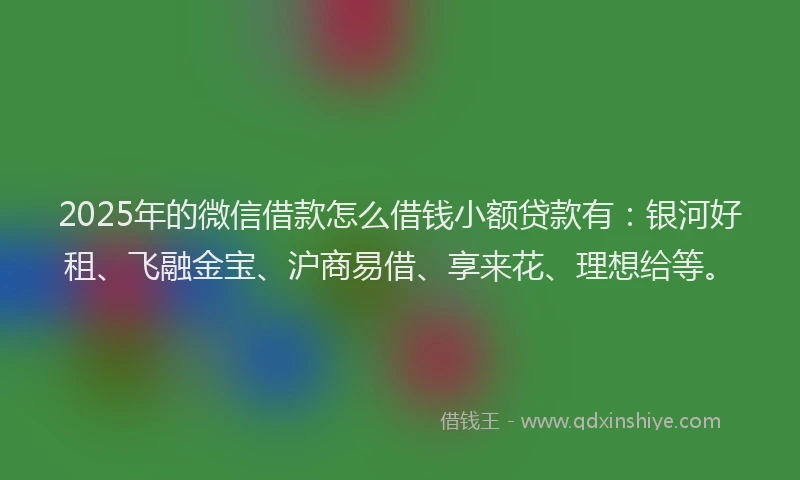 2025年的微信借款怎么借钱小额贷款有：银河好租、飞融金宝、沪商易借、享来花、理想给等。
