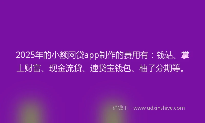 2025年的小额网贷app制作的费用有：钱站、掌上财富、现金流贷、速贷宝钱包、柚子分期等。