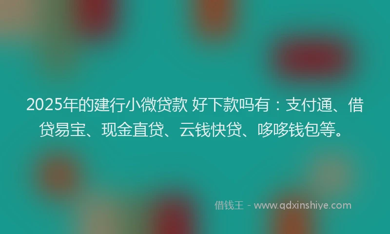2025年的建行小微贷款 好下款吗有：支付通、借贷易宝、现金直贷、云钱快贷、哆哆钱包等。