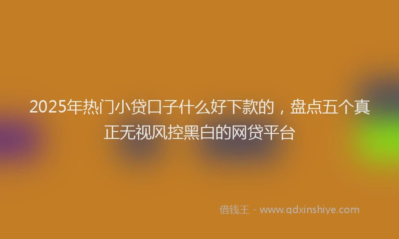 2025年热门小贷口子什么好下款的，盘点五个真正无视风控黑白的网贷平台