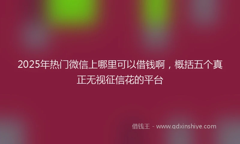 2025年热门微信上哪里可以借钱啊，概括五个真正无视征信花的平台