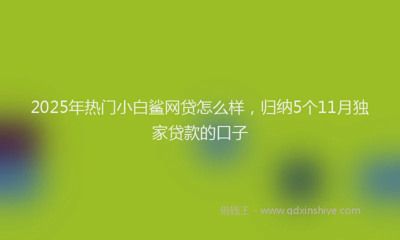 2025年热门小白鲨网贷怎么样，归纳5个11月独家贷款的口子