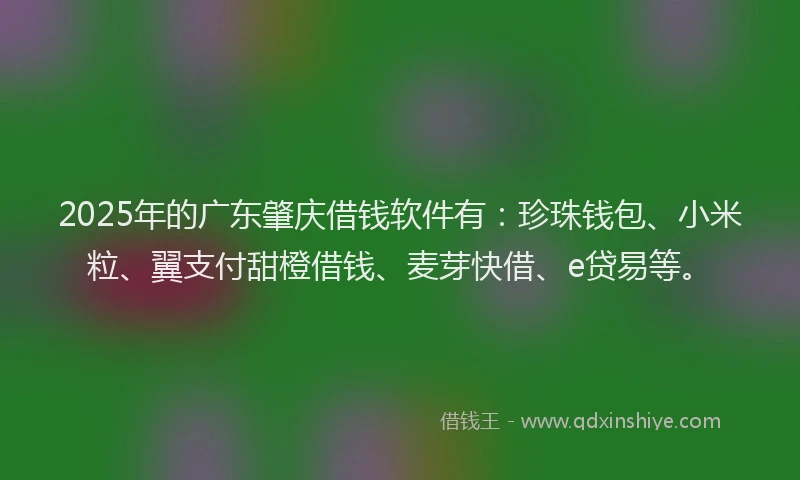 2025年的广东肇庆借钱软件有：珍珠钱包、小米粒、翼支付甜橙借钱、麦芽快借、e贷易等。