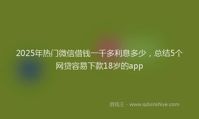 2025年热门微信借钱一千多利息多少，总结5个网贷容易下款18岁的app