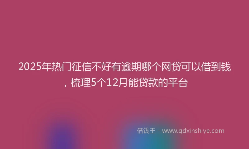 2025年热门征信不好有逾期哪个网贷可以借到钱，梳理5个12月能贷款的平台