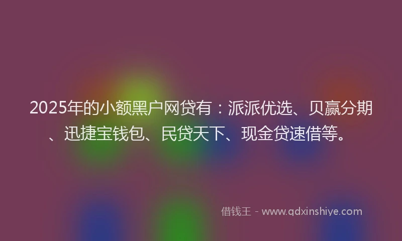 2025年的小额黑户网贷有：派派优选、贝赢分期、迅捷宝钱包、民贷天下、现金贷速借等。