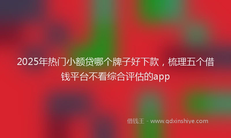 2025年热门小额贷哪个牌子好下款，梳理五个借钱平台不看综合评估的app