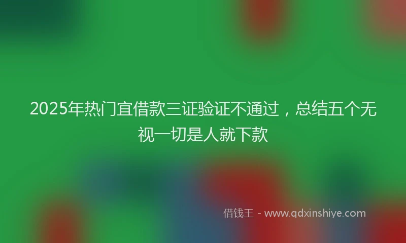 2025年热门宜借款三证验证不通过，总结五个无视一切是人就下款